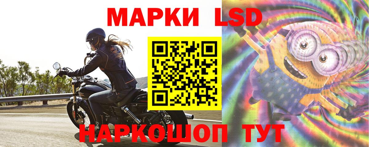 Зеленогорск  Лсд 25 экстази кислота  Вход с VPN 
