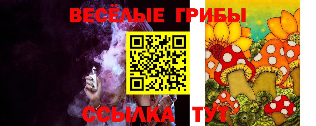 Галлюциногенные грибы MAGIC MUSHROOMS  Вход с VPN  Зеленогорск  Псилоцибиновые грибы Psilocybe 